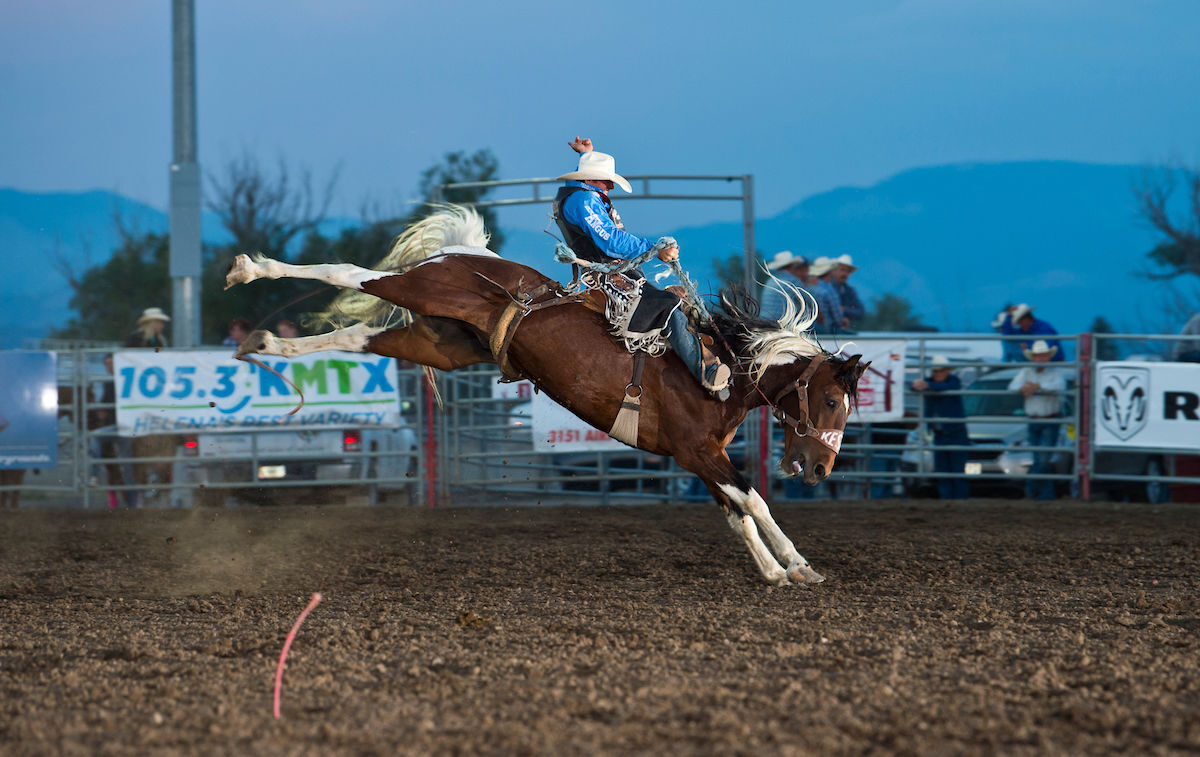 Last Chance Stampede